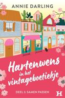Samen passen - Annie Darling - ebook - thumbnail