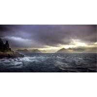 Wanddecoratie Art of Nature 018 98x48cm - thumbnail