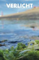 Verlicht - Karin Bijl - ebook - thumbnail