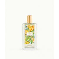 Fragonard Belle de Grasse Eau de Toilette 100ml - thumbnail