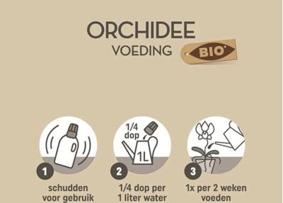 Bio Orchidee Voeding 250ml - Pokon - thumbnail