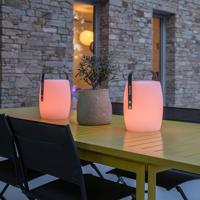 Bluetooth speaker met LED-lamp Lumisky LUCY PLAY 5 V 300 Lm - thumbnail