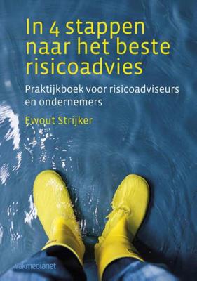 In 4 stappen naar het beste risicoadvies (Paperback)