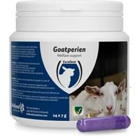 Excellent Accessoires voor gezondheidsverzorging goatperia bolus voor geiten - thumbnail