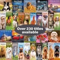 Newfoundlander Kalender 2026 - thumbnail