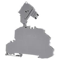 WAGO 2002-2611/1000-541 Zekeringklem 2-etages 6.20 mm Spanveer Grijs 25 stuk(s)