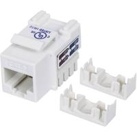 Intellinet 210591 RJ45-inbouwmodule Keystone CAT 6 1 stuk(s) - thumbnail