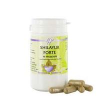 Holisan Shilayur Forte Capsules - thumbnail