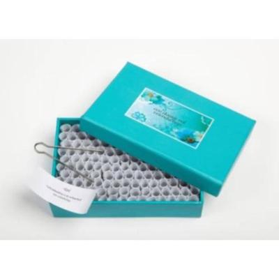 Een doosje vol vriendschap - Gekleurd