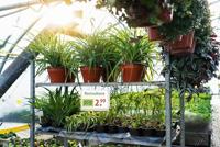 Durable 505719 Posterhouder - thumbnail