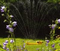 Hozelock 2975 Zwenksproeier Plus 260 m² - thumbnail