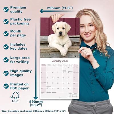 Labrador Retriever Blond Puppies Kalender 2026 Labrador Retriever Blond Puppies Kalender 2026