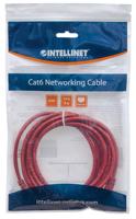 Intellinet 343367 RJ45 Netwerkkabel, patchkabel CAT 6 U/UTP 5.00 m Rood 1 stuk(s) - thumbnail