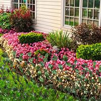 VidaXL Tuinlatwerk 5 st met kunstbladeren 180x90 cm wilg - thumbnail