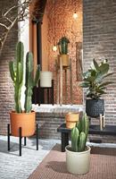 Mica Decorations Momo Bloempot - H25 x Ø28 cm - Taupe - thumbnail