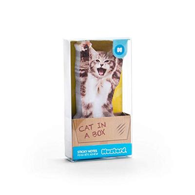 Mosterd Kat In Een Doos