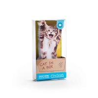 Mosterd Kat In Een Doos - thumbnail