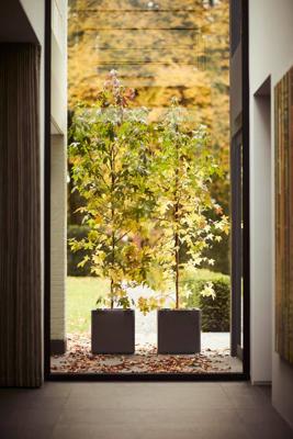 Bloempot bol III zwart Capi Lux - Capi europe