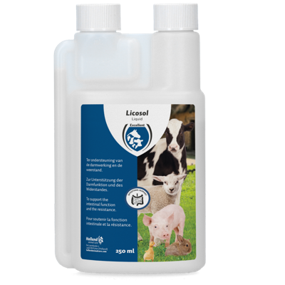 Excellent Licosol (jonge dieren) Vloeibaar 250 ml Excellent Licosol (jonge dieren) Vloeibaar 250 ml