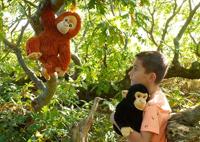 Keeleco Knuffel Chimpansee 25 cm - thumbnail