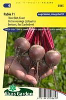 Rode biet zaden Kroot Pablo F1 - thumbnail