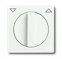 Busch-Jaeger centraalplaat 1740-884 studiowit mat - thumbnail