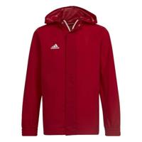 Sportjack voor kinderen Adidas Entrada 22 Rood Maat 15-16 Jaar - thumbnail