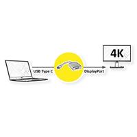 ROLINE Display Adapter USB Type C - DisplayPort v1.2, M/F - thumbnail