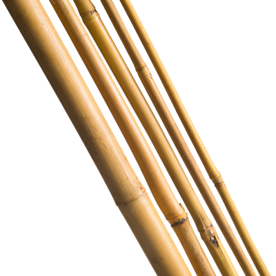 Nature Bamboestok 90 cm d8-10mm 7 stuks