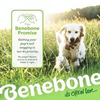 Benebone Fishbone nylon kauwspeelgoed hond (zalmsmaak) M - thumbnail
