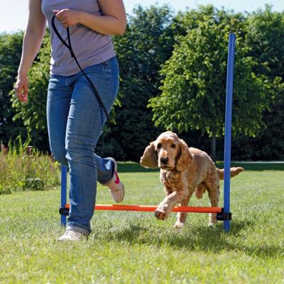 TRIXIE DOG ACTIVITY AGILITY HORDE BLAUW / ORANJE 123X115X3 CM