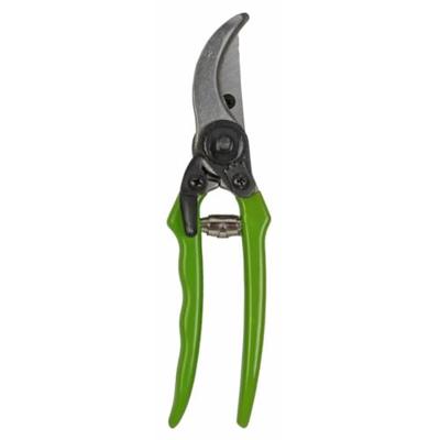 Talentools snoeischaar budget