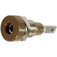 Stäubli LB-I2R Laboratoriumbus Bus, inbouw verticaal Stift-Ø: 2 mm Bruin 1 stuk(s) - thumbnail