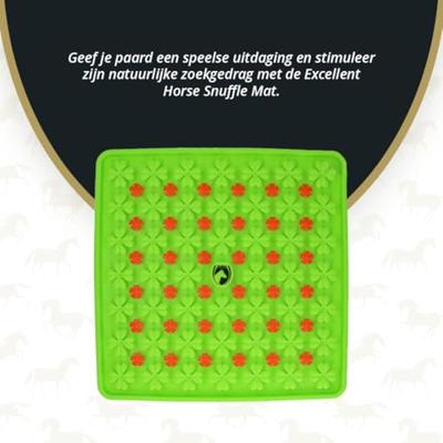 Excellent Horse Snuffle mat