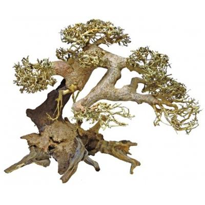 Bonsai Driftwood L aquaria SuperFish - Superfish