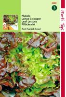 Zaden Pluksla Red Salad Bowl eikenbladsla Hortitops - Hortitops - thumbnail