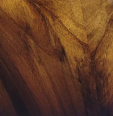 GHS A92 Guitar Gloss poetsmiddel voor instrumenten 120 ml