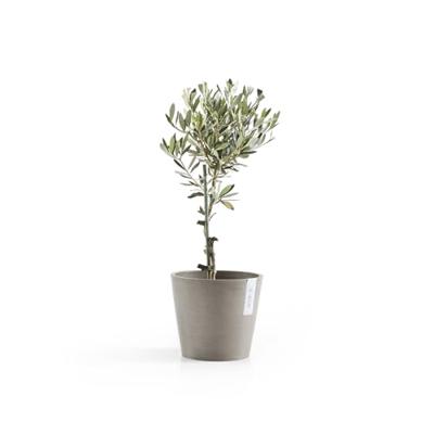 Ecopots Amsterdam kunststof bloempot Taupe - Ø 18 cm Ecopots Amsterdam kunststof bloempot Taupe - Ø 18 cm