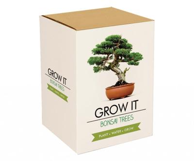 Gift Republic Bonsai Bomen