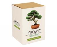 Gift Republic Bonsai Bomen - thumbnail