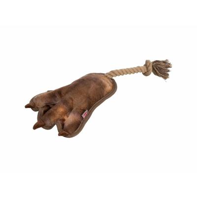 TRIXIE DIERENPOOT MET TOUW BRUIN