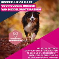 Eukanuba Senior Hondenvoer met verse kip voor middelgrote rassen, premium droogvoer voor oudere honden, 3 kg - thumbnail