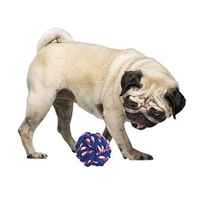Hondenspeelgoed Gloria Polyester Multicolour (9-10 cm)