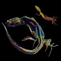 One To One & Xaosonix - CD (7438205694619) - thumbnail