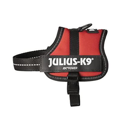Hondentuigje Julius K9 Power Rood 2 Baby 2 (XS/S)
