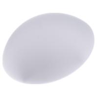 RZB 211005.002 Flat Basic A60/60W,E27 D2 Plafondlamp E27 60 W Wit - thumbnail