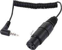 Sennheiser KA 600i gekrulde verloopkabel XLR female naar 3,5 mm TRRS mini-jack haaks - thumbnail