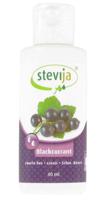 SteviJa Fruitsiroop Zwarte Bessen 40 ml - thumbnail