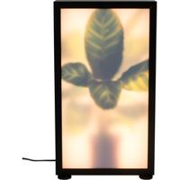 Zuiver Vloerlamp 'Grow' Zebraplant, 50cm - thumbnail