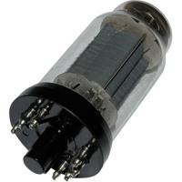 BTB Vertrieb EL 12 N Elektronenbuis Eindpentode 250 V 72 mA Aantal polen: 8 Fitting: Y8A 1 stuk(s) - thumbnail